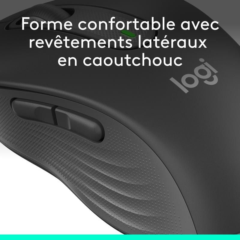 Logitech Souris Signature M650 L *910-006236 · Souris PC · Informat Systems Strasbourg (image 14)