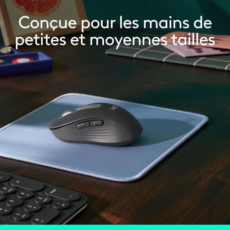 Logitech Souris Signature M650 L *910-006236 · Souris PC · Informat Systems Strasbourg (image 9)