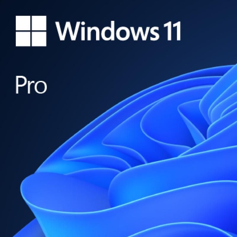 MICROSOFT Windows 11 Professionnel 64bits OEM · Systèmes d?exploitation · Informat Systems Strasbourg (image 2)