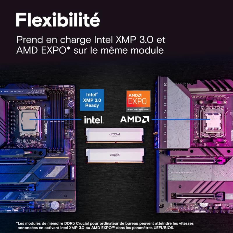 Crucial Pro CP2K32G64C40U5W module de mémoire 64 Go 2 x 32 Go DDR5 288-pin DIMM · Mémoires PC · Informat Systems Strasbourg (image 4)
