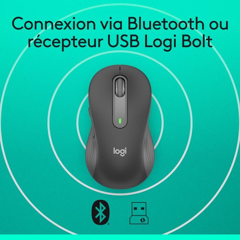 Logitech Souris Signature M650 M *910-006253 · Souris PC · Informat Systems Strasbourg (image 12)