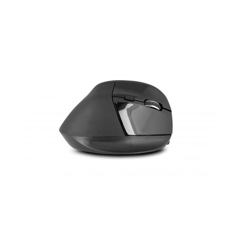 Urban Factory Souris Ss Fil ERGO PRO * EPR20UF · Souris PC · Informat Systems Strasbourg (image 2)