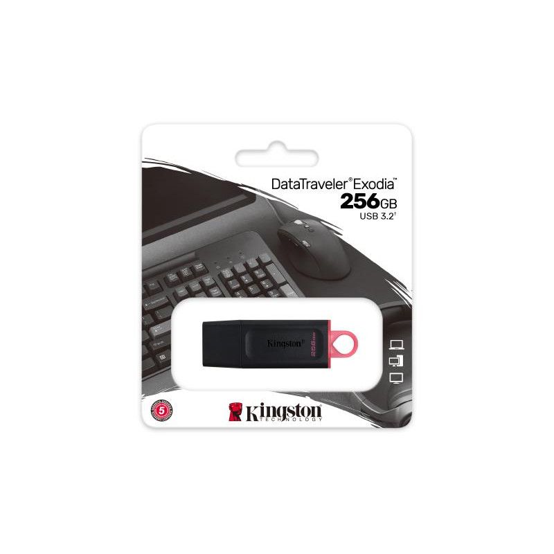 KINGSTON 256G USB 3.2 Gen 1 *DTX/256GB · Clé USB · Informat Systems Strasbourg (image 6)