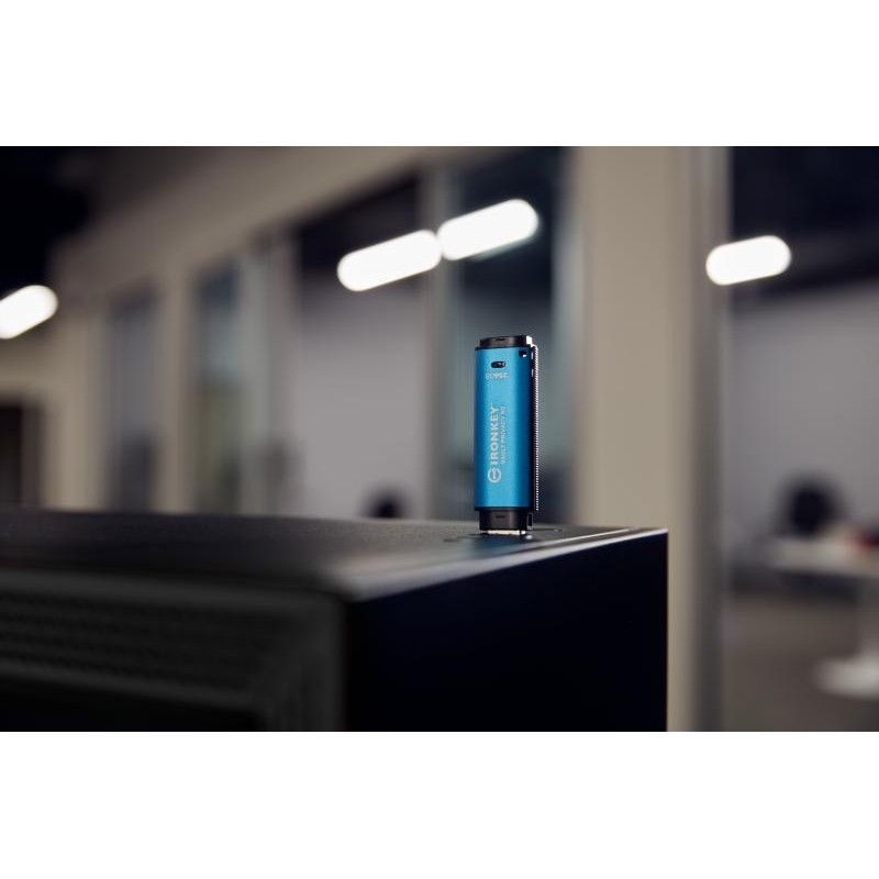 KINGSTON 256GB IronKey Vault Privacy 50 *IKVP50/256GB · Clé USB · Informat Systems Strasbourg (image 8)