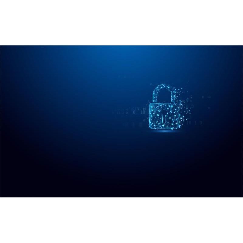 KINGSTON 64GB IronKey Vault Privacy 50 *IKVP50/64GB · Clé USB · Informat Systems Strasbourg (image 5)