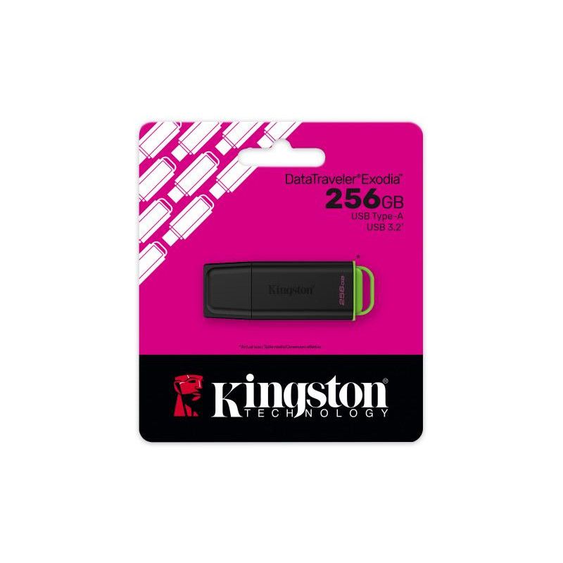 Kingston Technology DataTraveler 256Go Stockage portable USB 3.2 Gen 1 Exodia Noir + Vert · Clé USB · Informat Systems Str... (image 5)
