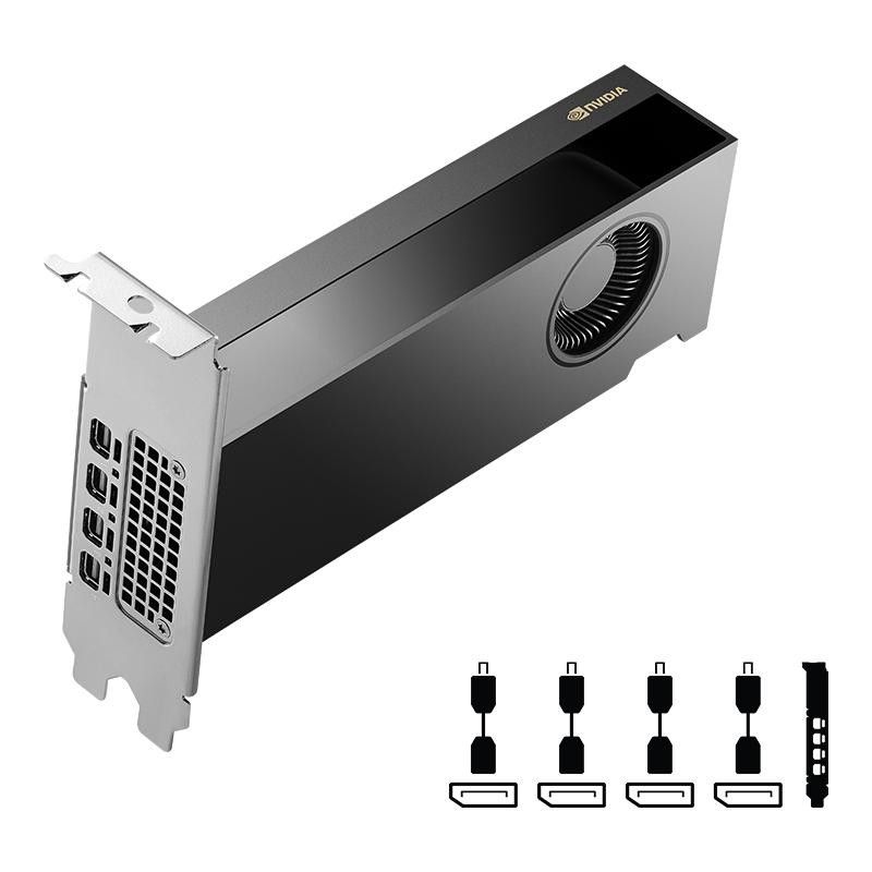 PNY NVIDIA RTX 2000 Ada Generation 16 Go GDDR6 · Cartes graphiques · Informat Systems Strasbourg (image 2)