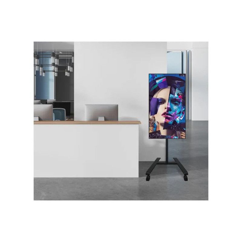 B-TECH BT7504 · SUPPORT ECRAN AV · Informat Systems Strasbourg (image 3)