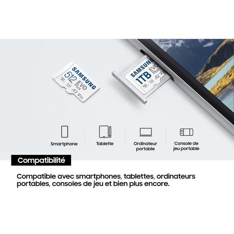 Samsung Carte MicroSD EVO Plus (2024) 256 Go · CARTE MEMOIRE · Informat Systems Strasbourg (image 6)